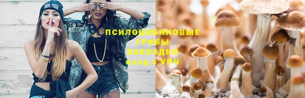 Альфа ПВП Саяногорск
