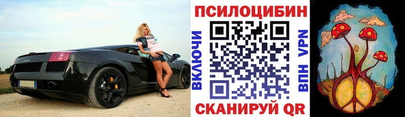 Псилоцибиновые грибы мицелий  как найти наркотики  Сланцы 